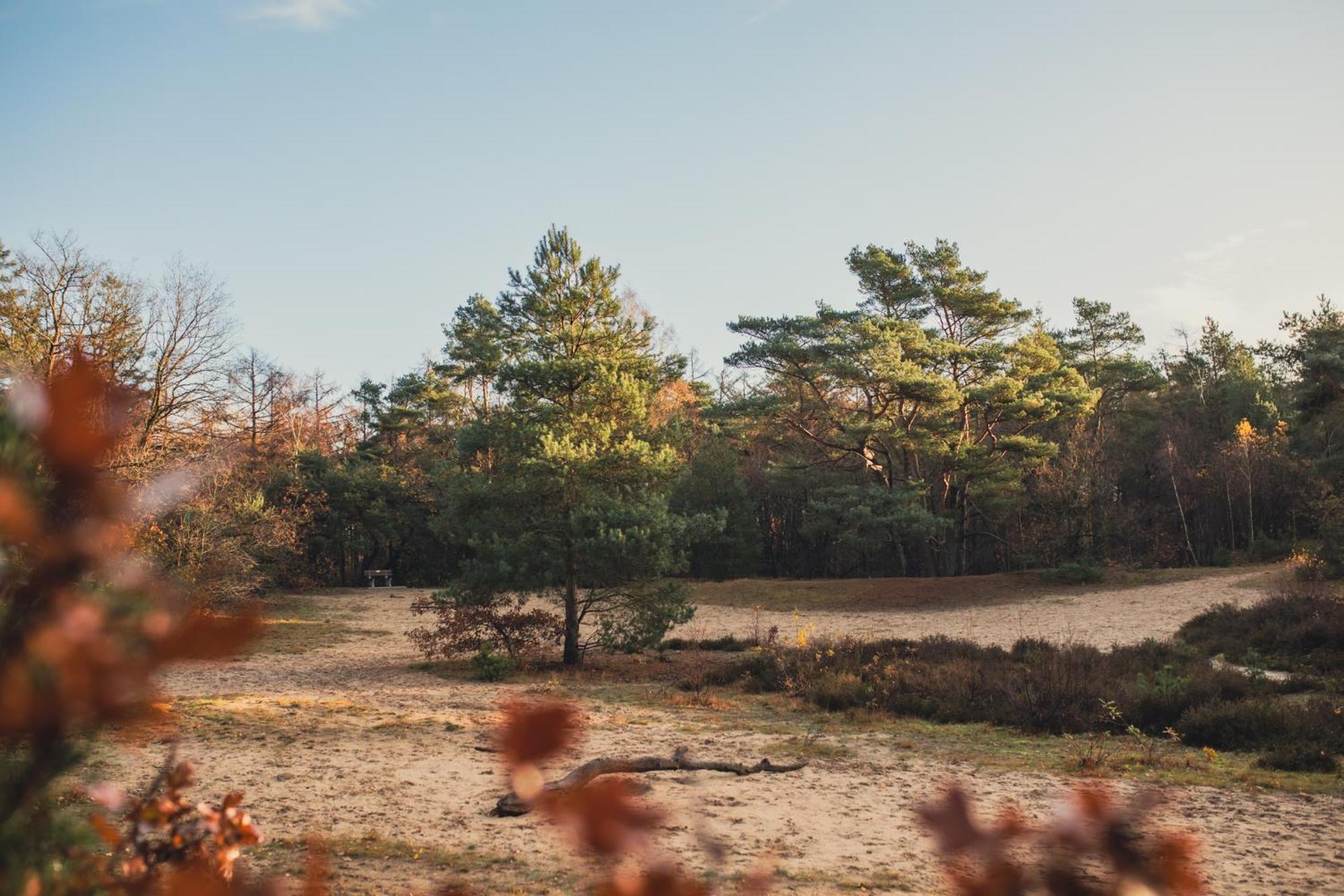 Drents Genieten - Lavendelheide Met Uitzicht Op Het Water Erm Eksteriør billede
