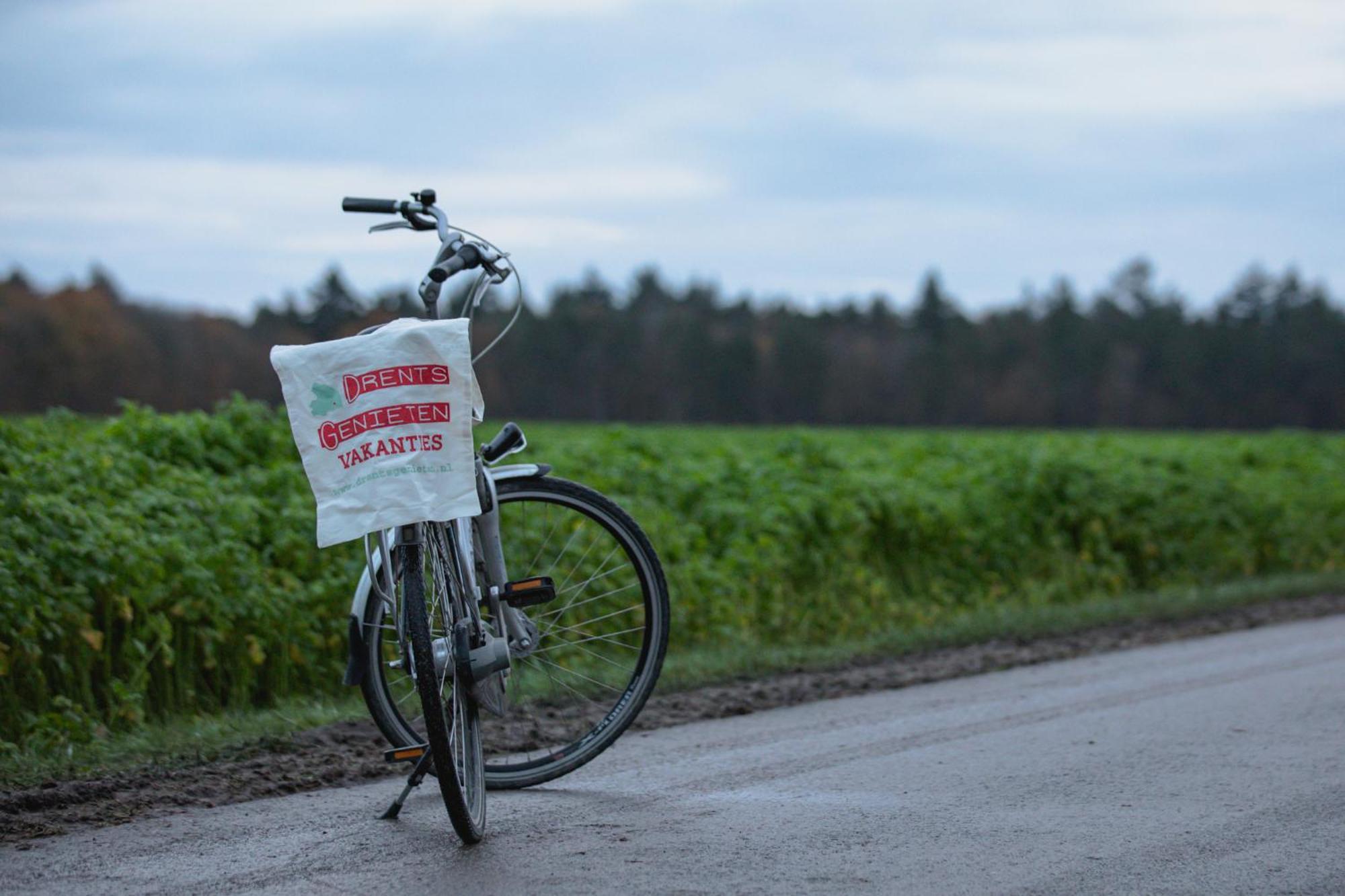 Drents Genieten - Lavendelheide Met Uitzicht Op Het Water Erm Eksteriør billede